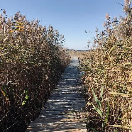 Slonce I Woda - 2 Nad Brzegiem Jeziora Sniardwy Z Wlasnym Pomostem, Zejsciem Do Wody I Przecudnym Widokiem Na Jezioro Zdory