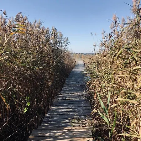 Slonce I Woda - 2 Nad Brzegiem Jeziora Sniardwy Z Wlasnym Pomostem, Zejsciem Do Wody I Przecudnym Widokiem Na Jezioro Zdory