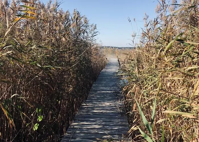 Slonce I Woda - 2 Nad Brzegiem Jeziora Sniardwy Z Wlasnym Pomostem, Zejsciem Do Wody I Przecudnym Widokiem Na Jezioro Zdory